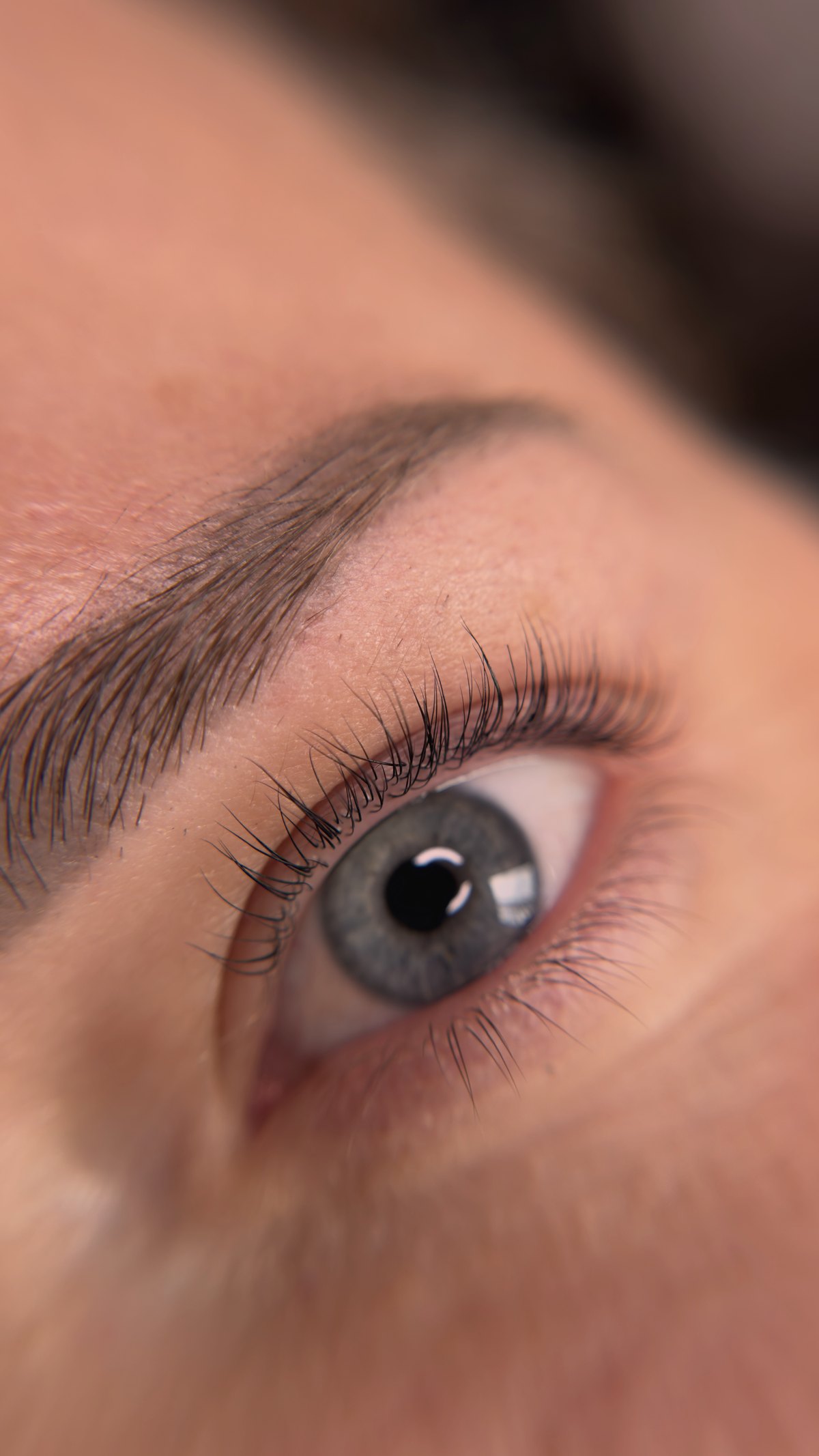 Wimpern nach dem Lifting, graues Auge